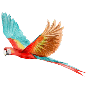 guacamaya
