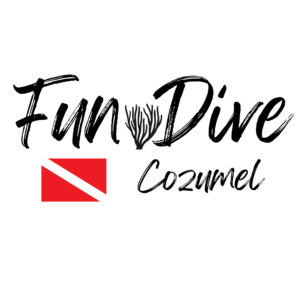 Fundive cozumell