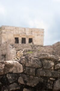 A wild iguana perched on ancient Mayan ruins in Tulum, Mexico, under a cloudy sky.